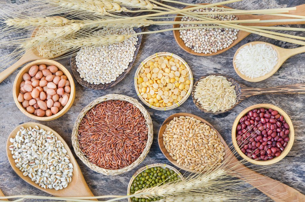 How to Create Long-Term Food Storage Plan for a Large Family?